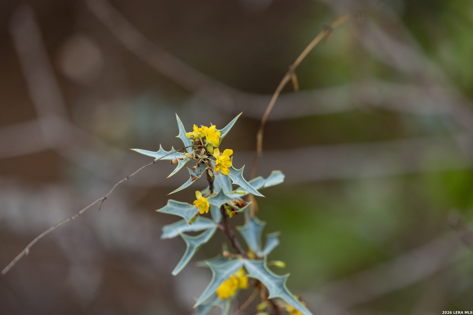 430 Frio Cyn Loop Concan, TX 78838 - Photo 53 of 53