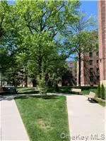 a view of a park with large trees