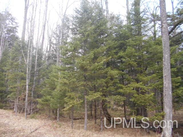 Tbd Cross Cut Road, Unit 9 Florence, WI 54121 - Photo 4 of 4