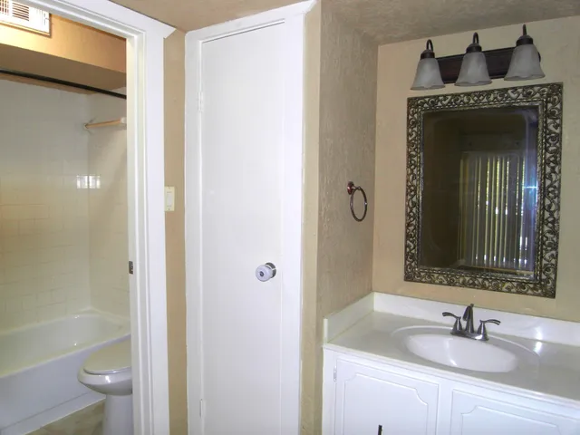 a bathroom with a bathtub and a toilet