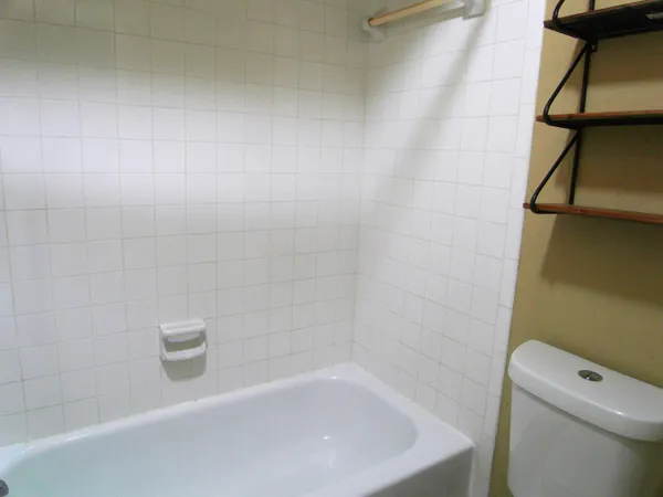 a bathroom with a bathtub and a toilet