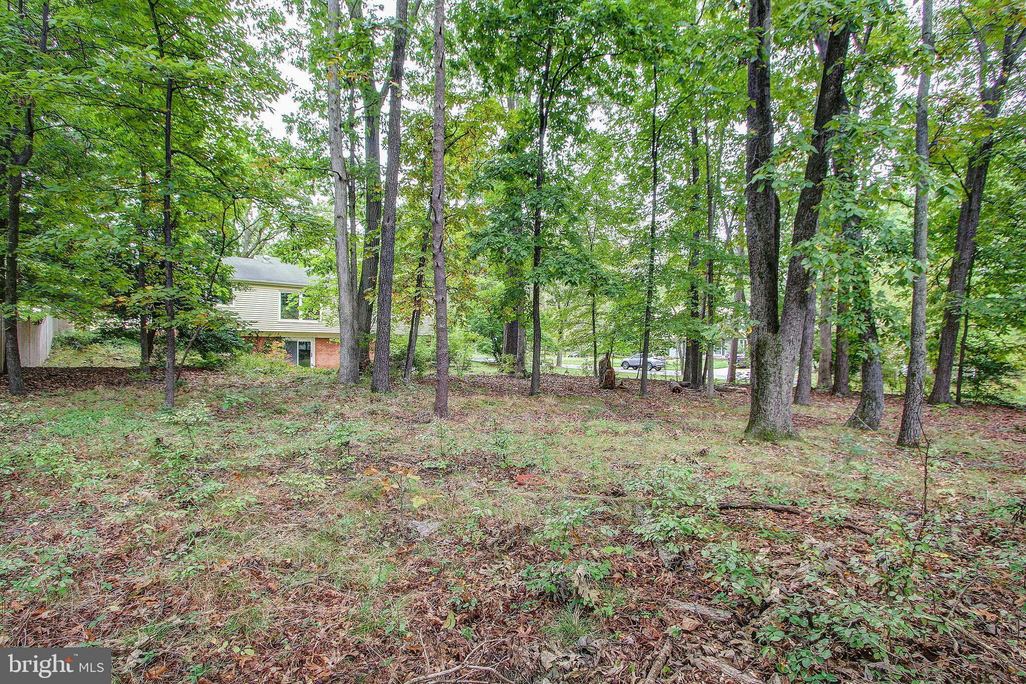 1591 Kimblewick Road Potomac, MD 20854 - Photo 38 of 39