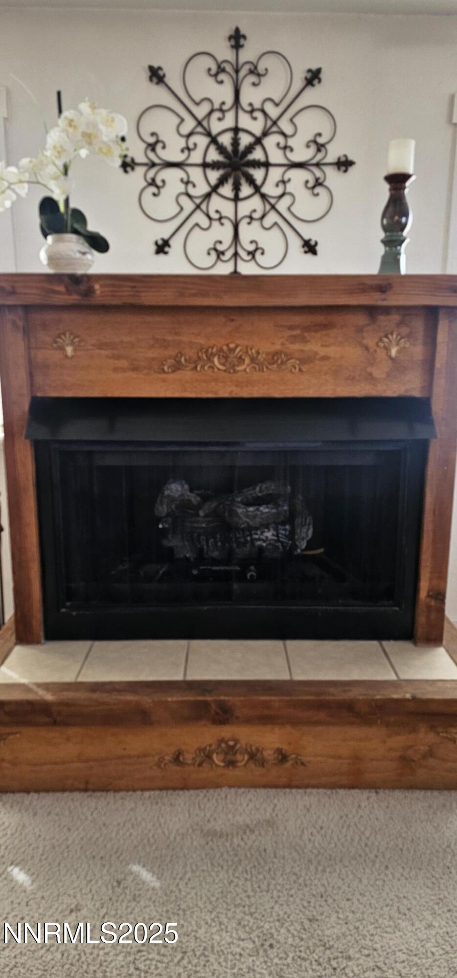 155 James Court Kingston, NV 89310 - Photo 29 of 47 Fireplace