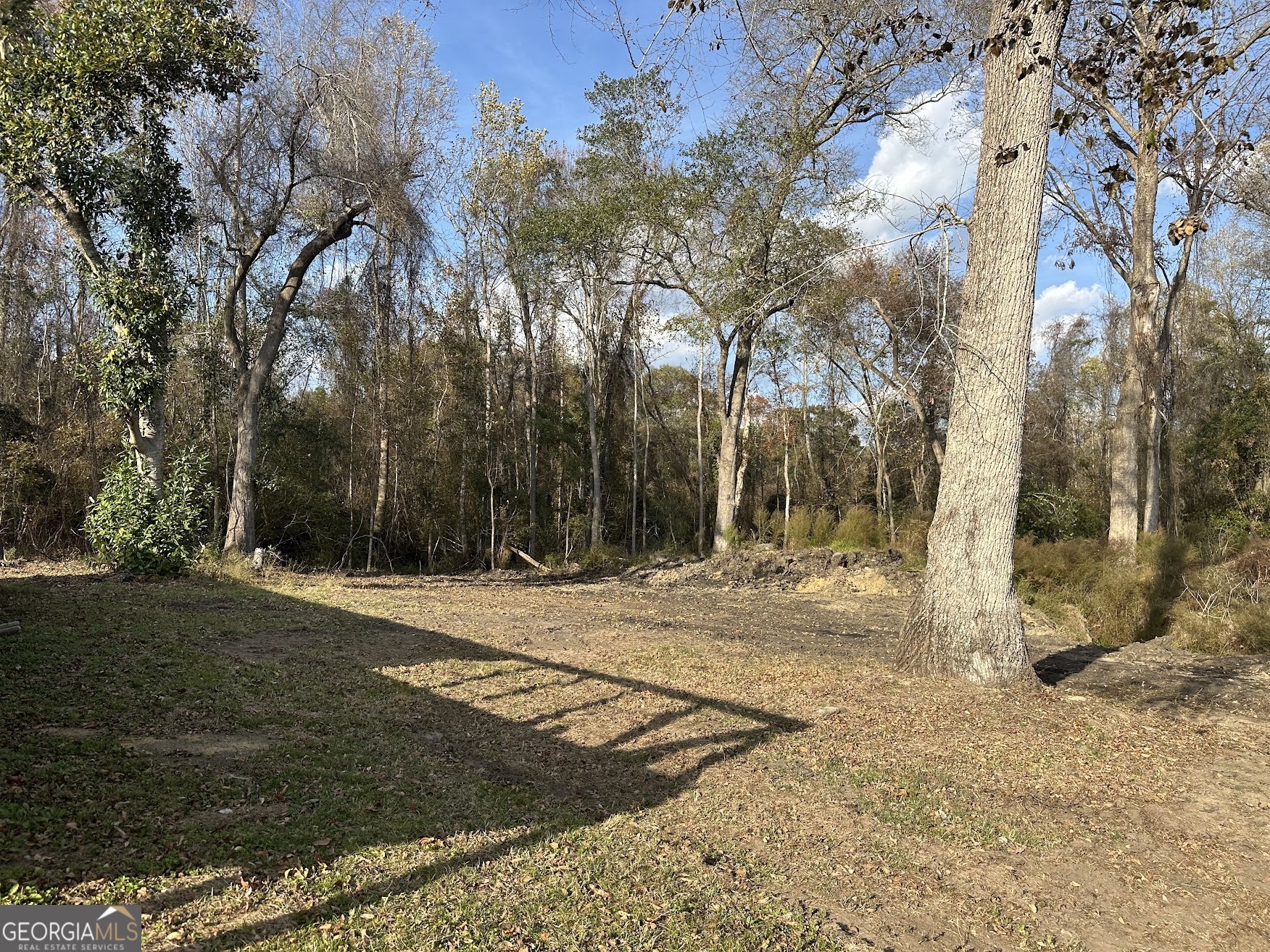 781 Jordan Brown Road Eastman, GA 31023 - Photo 17 of 17