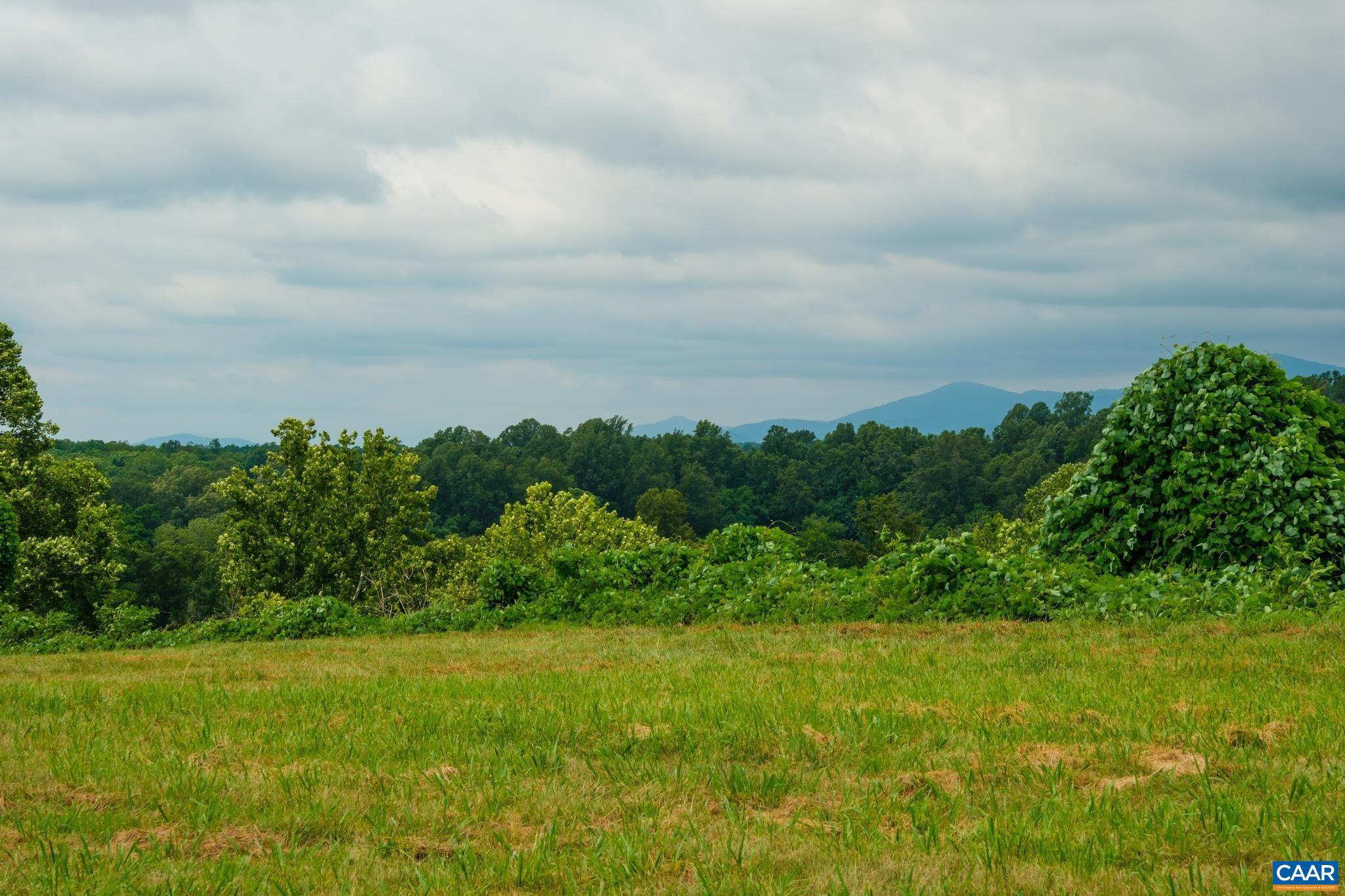 Tbd Tbd Roseland Road Arrington, VA 22922 - Photo 24 of 35
