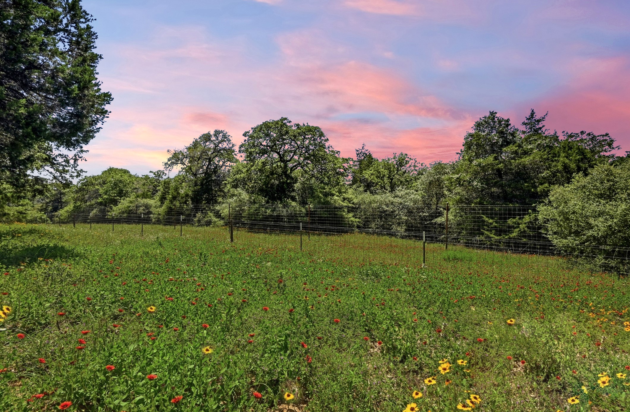 387 Corral Road Smithville, TX 78957 - Photo 40 of 40 Expansive natural landscape featuring a field of wildflowers, mature trees, and perimeter fencing