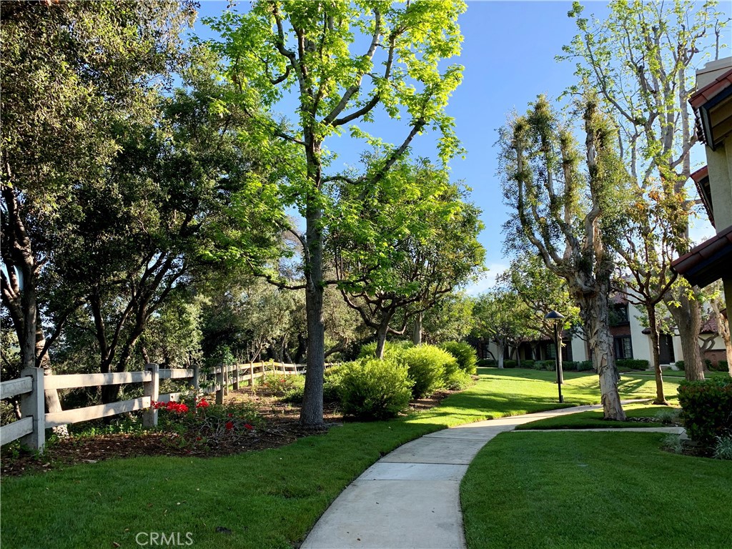 525 San Marcos Road San Dimas, CA 91773 - Photo 22 of 22 a view of a park with large trees
