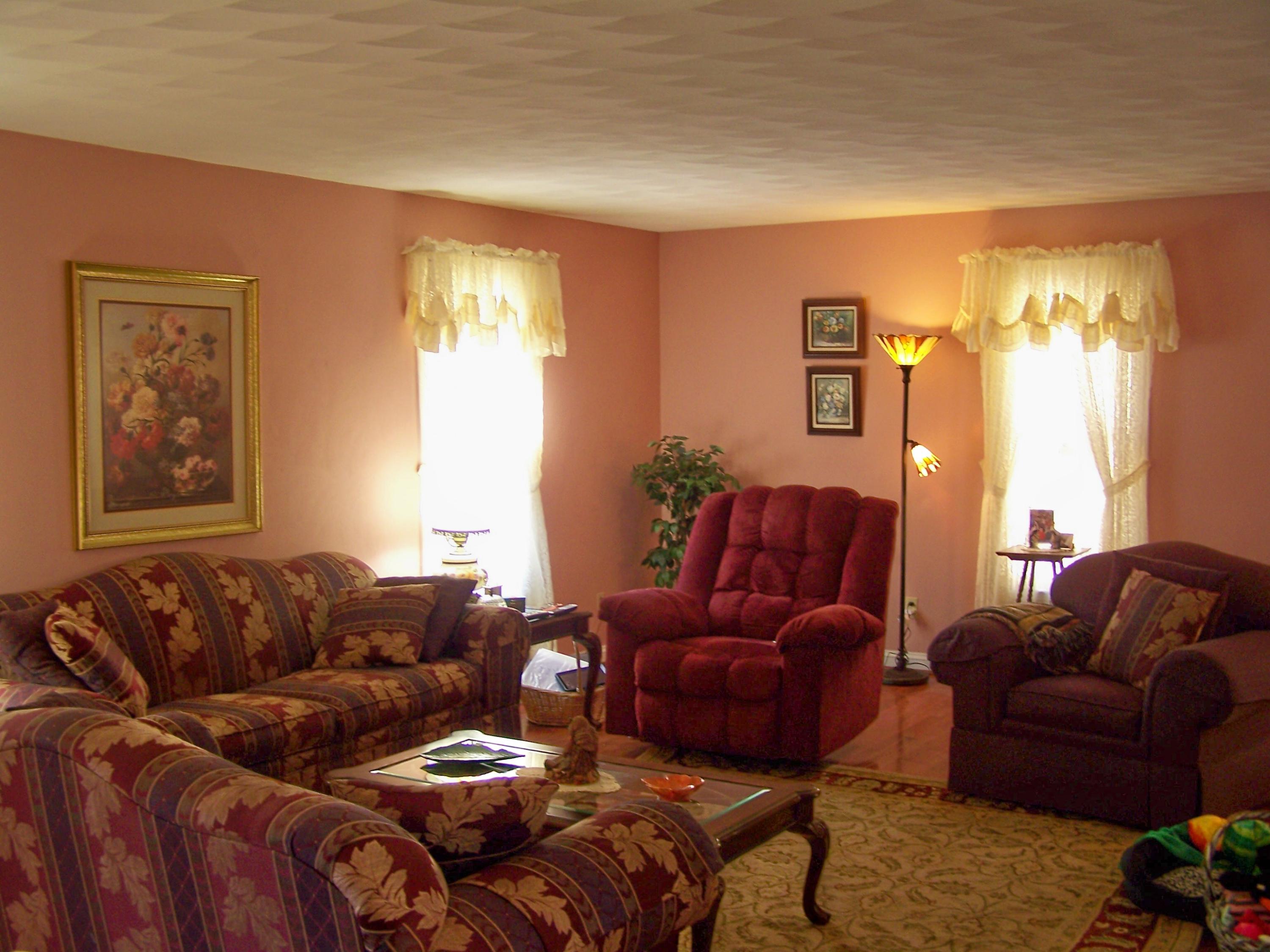 3813 Naff Road Boones Mill, VA 24065 - Photo 5 of 29 Spacious Living Room