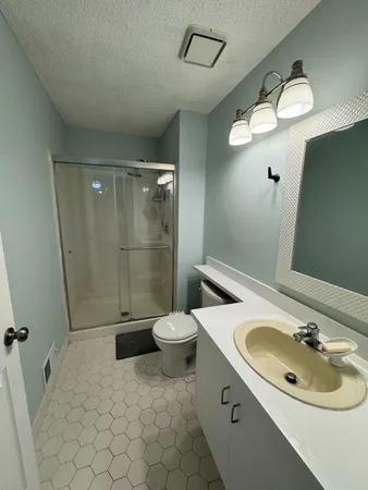 a bathroom with a sink a toilet and shower