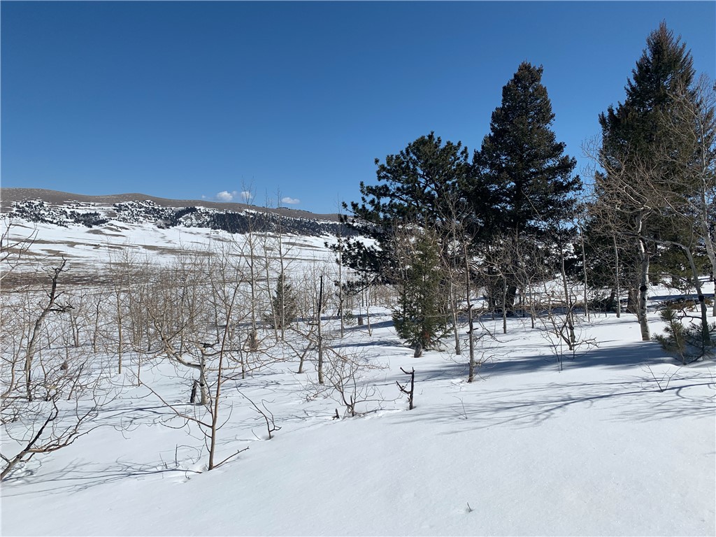 Tbd Redhill Road Fairplay, CO 80440 - Photo 13 of 20 Gallery Image 13