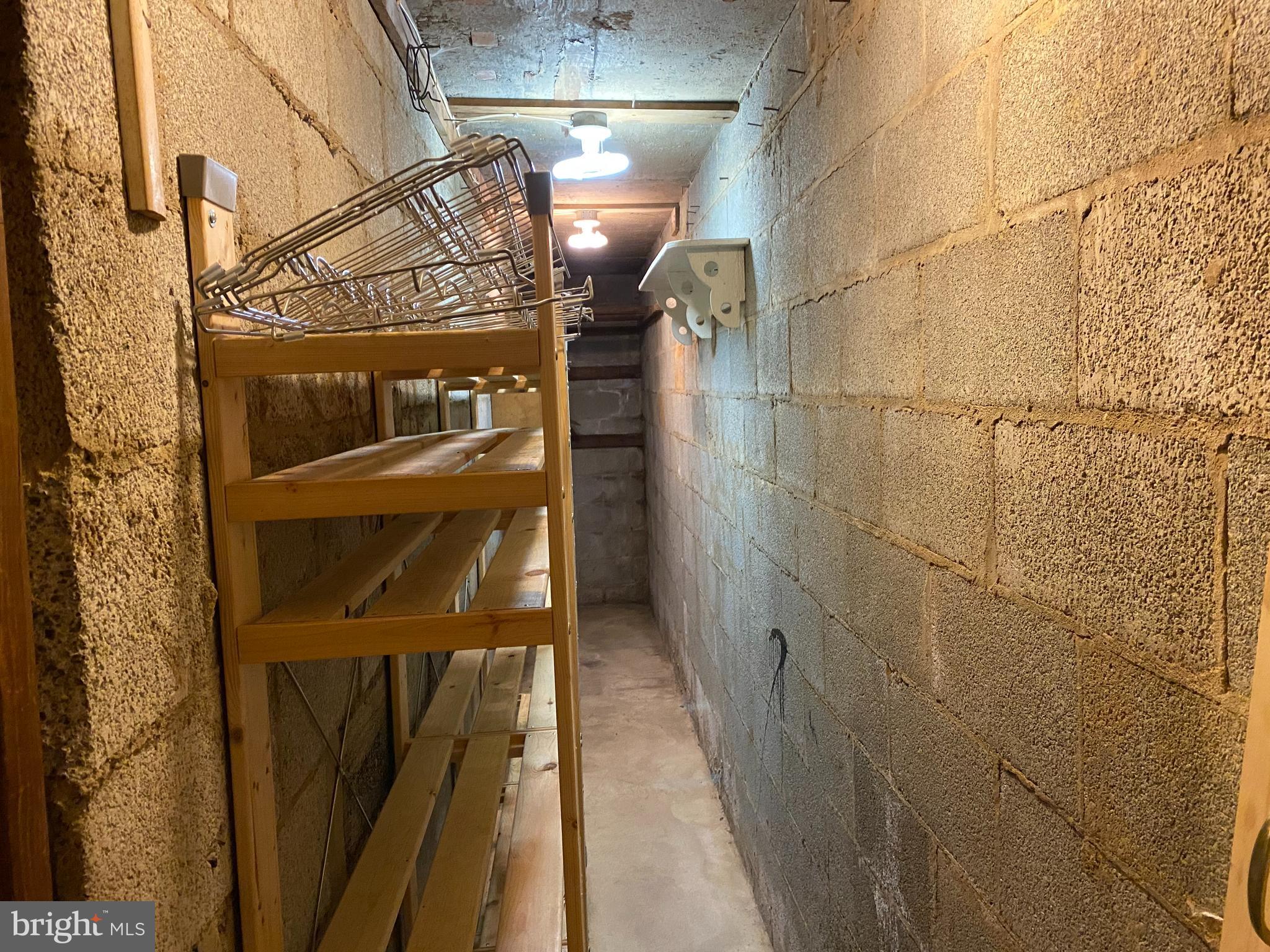 11004 Emack Road Beltsville, MD 20705 - Photo 50 of 64 WINE CELLAR STORAGE ??? BLOCK WALLS IN LOWER LEVEL