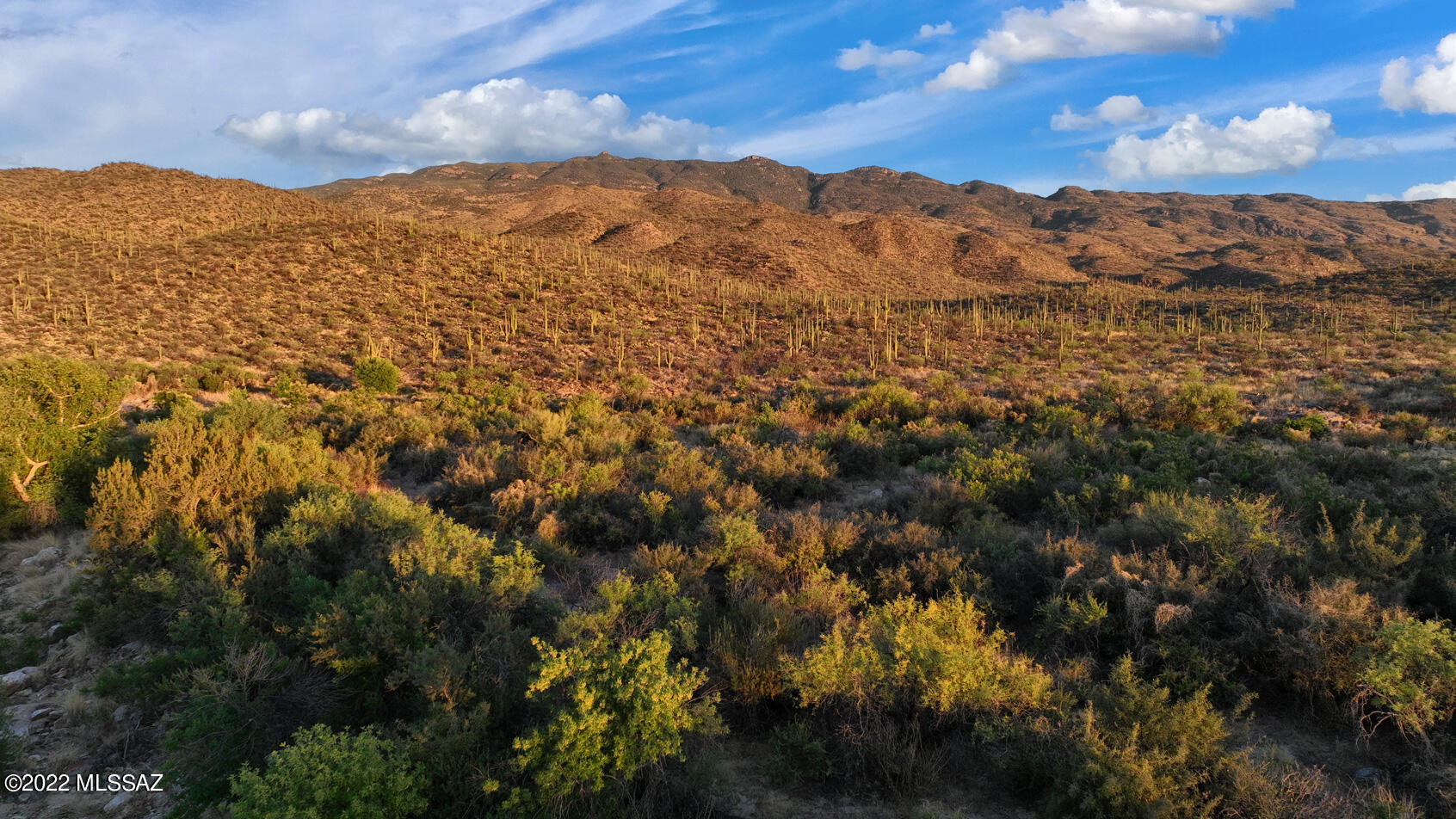 14770 East Redington Road Tucson, AZ 85749 - Photo 10 of 31