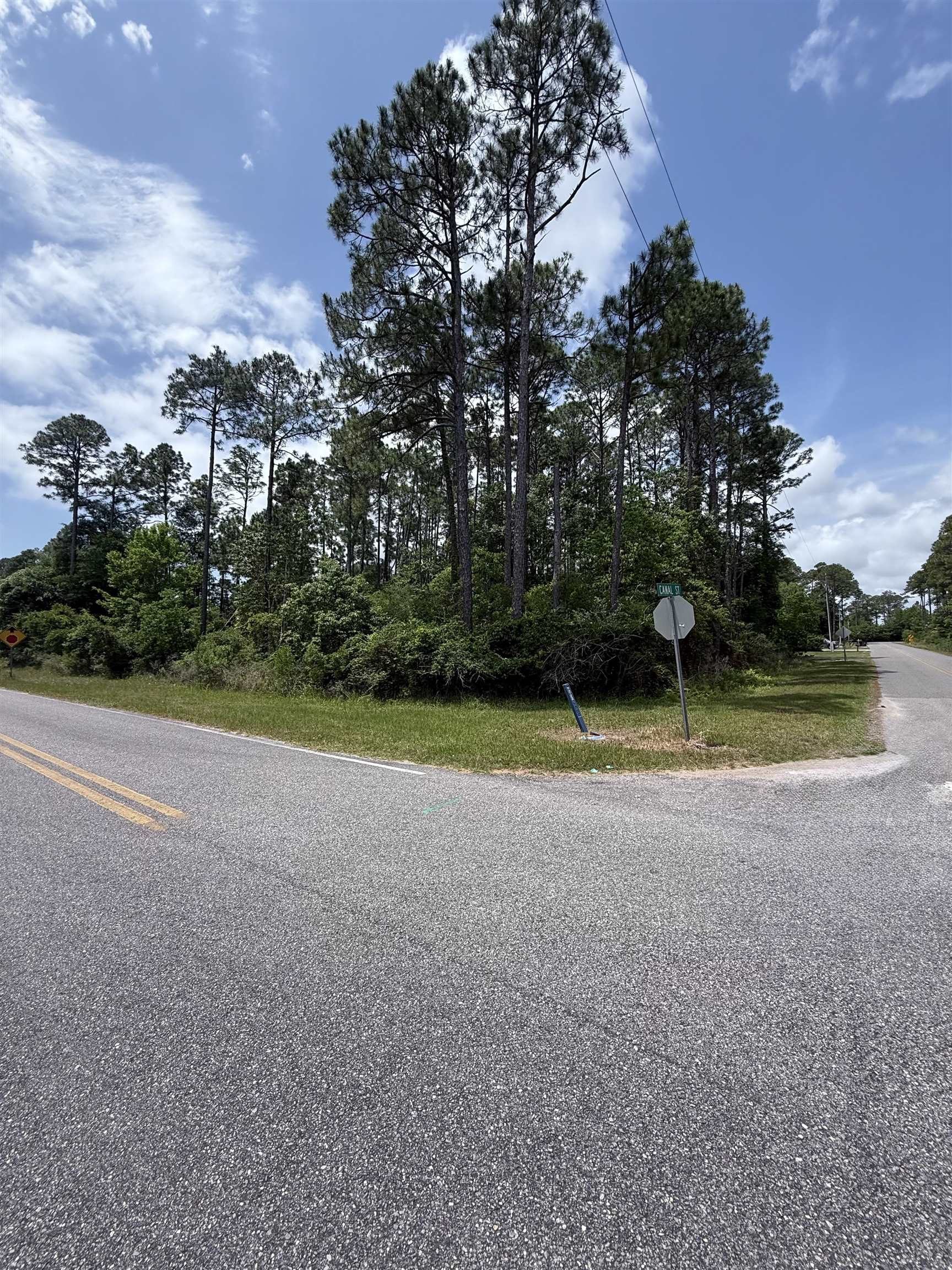 0 Canal Street Elberta, AL 36530 - Photo 6 of 8