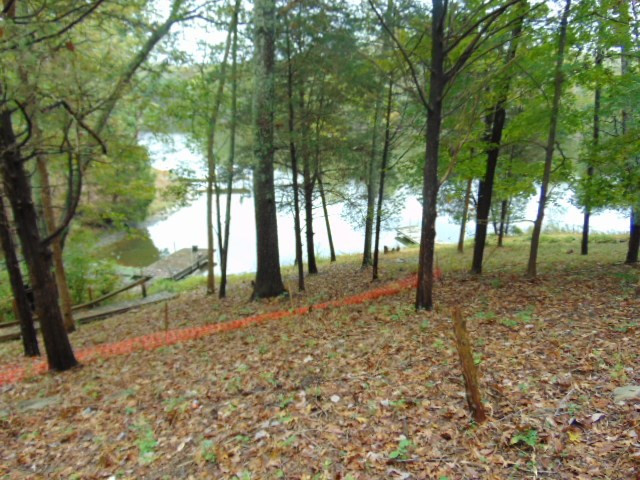14 Davis Lake Road Owenton, KY 40359 - Photo 7 of 8 Gallery Image 7