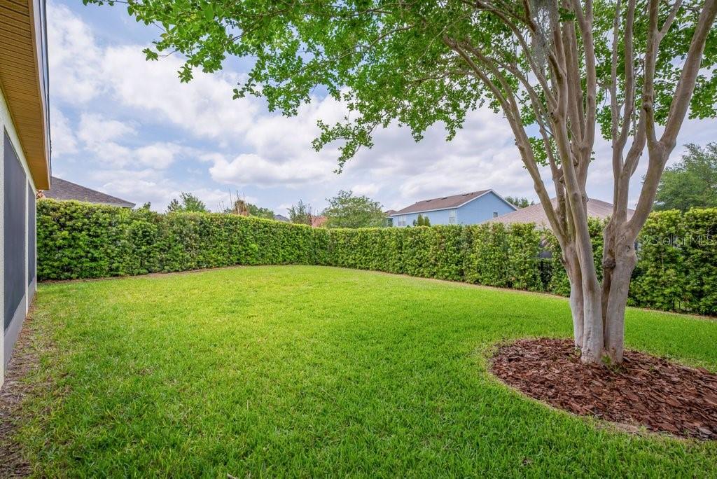 5119 Sanderling Ridge Drive Lithia, FL 33547 - Photo 33 of 46