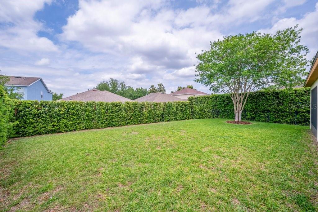 5119 Sanderling Ridge Drive Lithia, FL 33547 - Photo 35 of 46