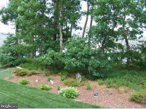 47 Quail Road Barnegat, NJ 08005 - Photo 12 of 12 a view of yard with green space