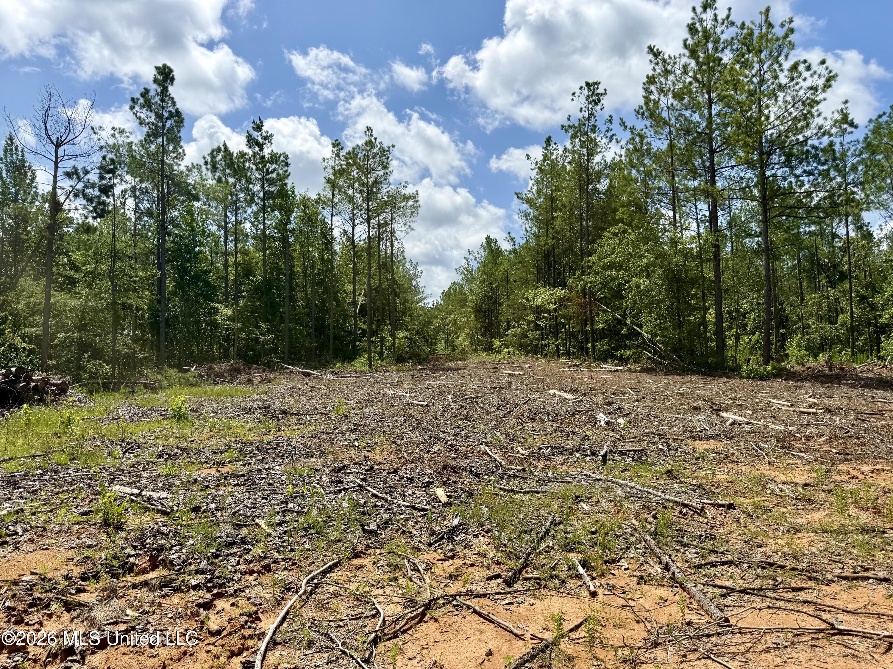 828 Little Egypt Road Ashland, MS 38603 - Photo 101 of 101 Photo Jun 30 2026, 11 14 41 AM
