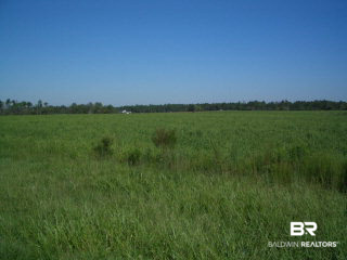 0 Heidelberg Road Robertsdale, AL 36567 - Photo 1 of 1 Main View