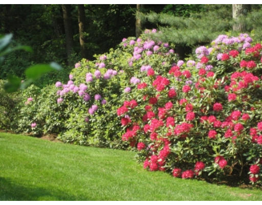 8 Deer Run Road Lincoln, MA 01773 - Photo 13 of 13