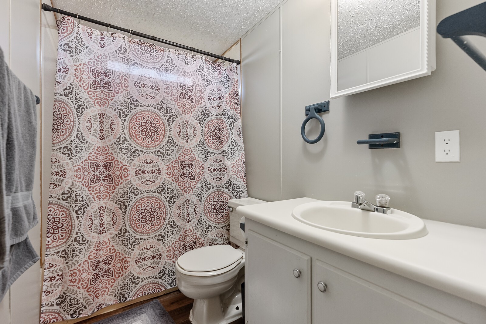 6480 Highway 161 Springfield, TN 37172 - Photo 13 of 20 a bathroom with a sink and a mirror