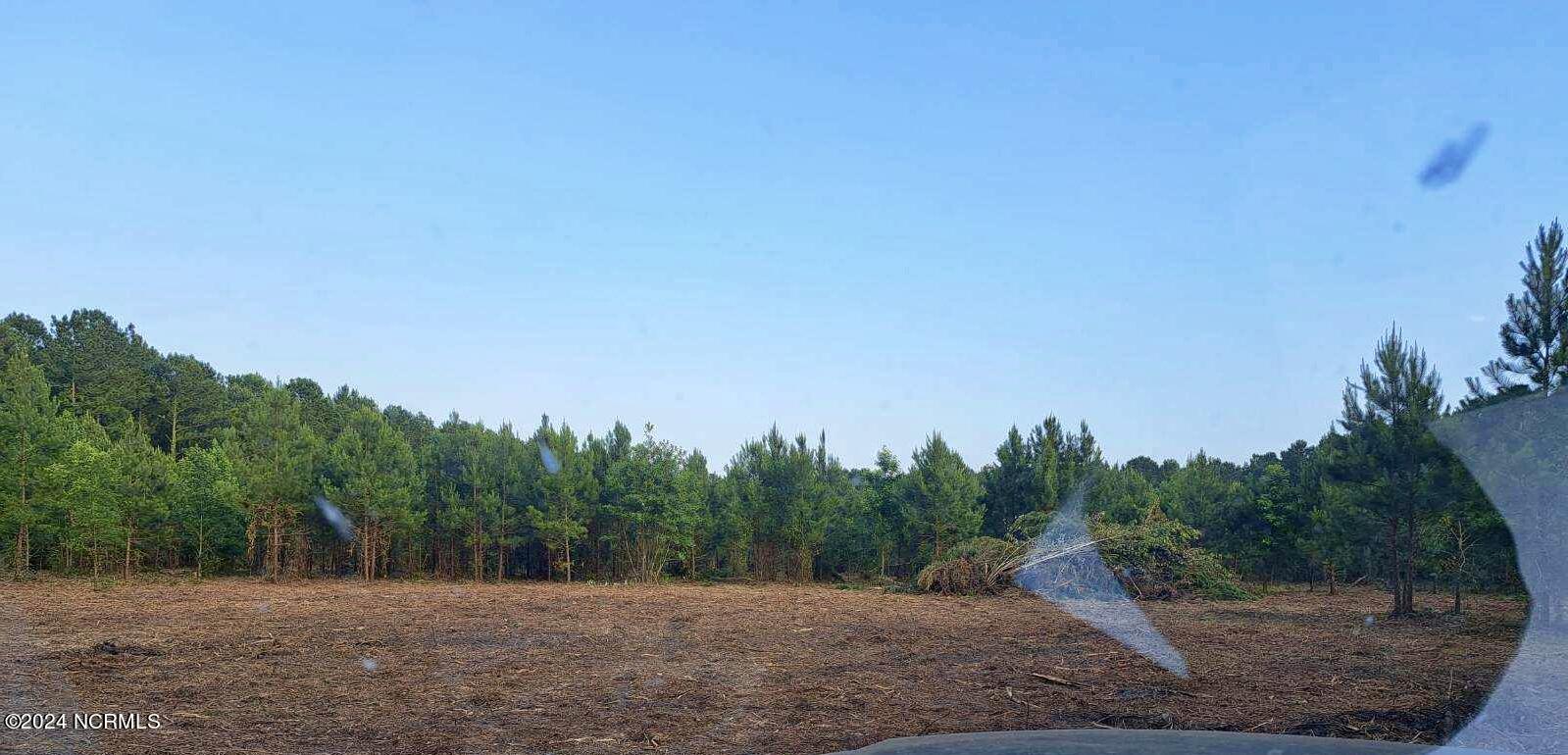 5703 Kelly Road Bath, NC 27808 - Photo 3 of 6 Cleared land