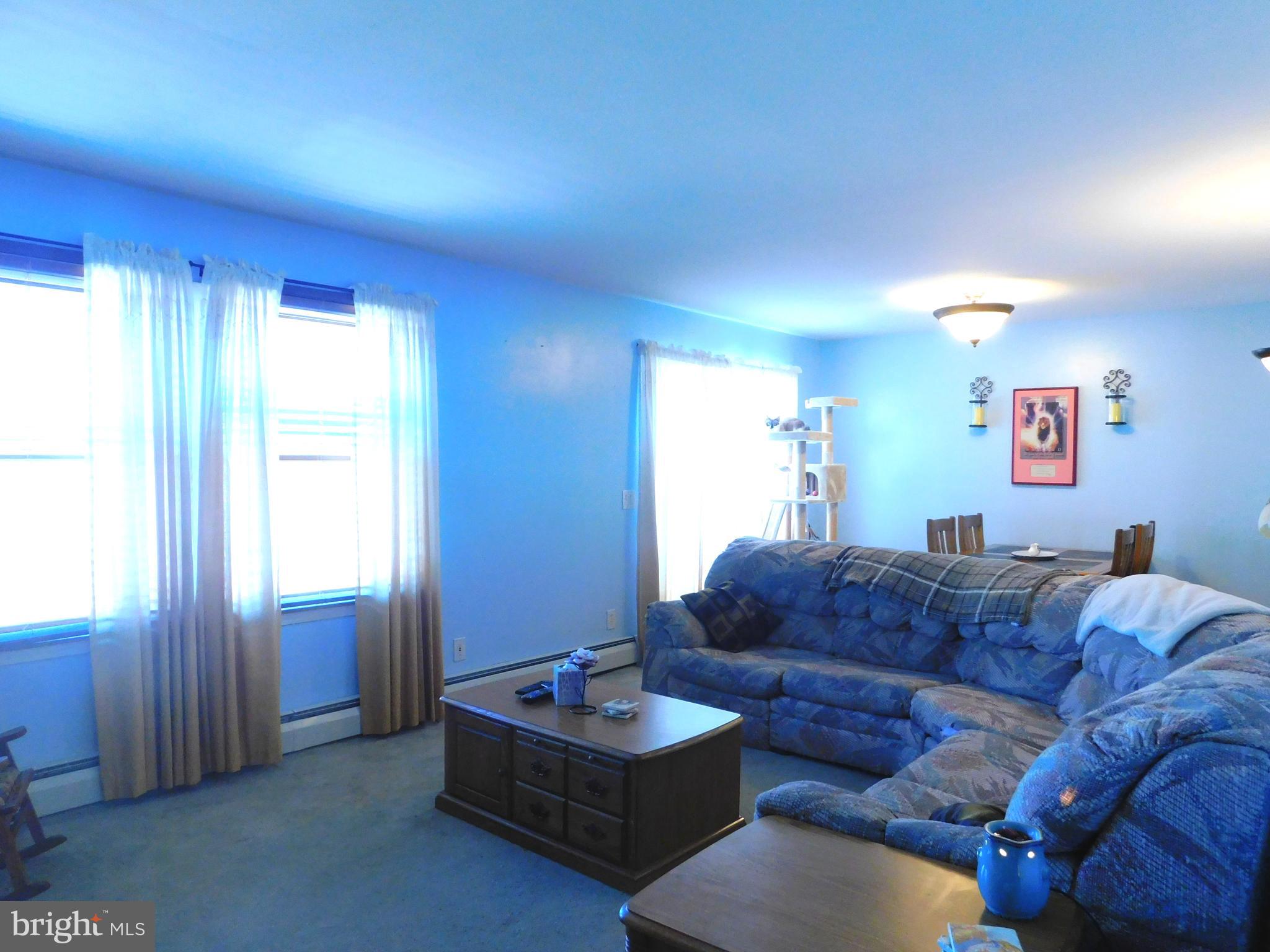 8475 Westernport Road Swanton, MD 21561 - Photo 11 of 45 living room
