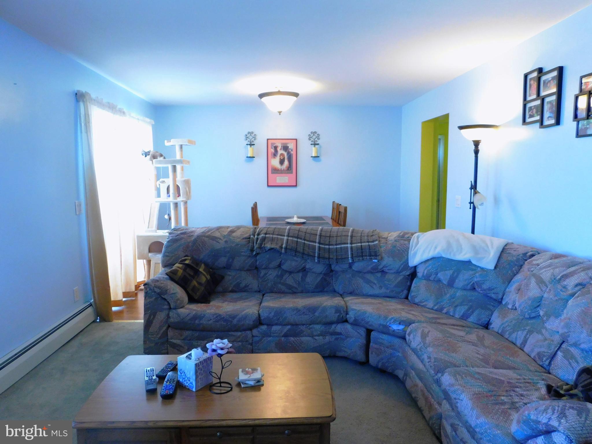 8475 Westernport Road Swanton, MD 21561 - Photo 12 of 45 living room