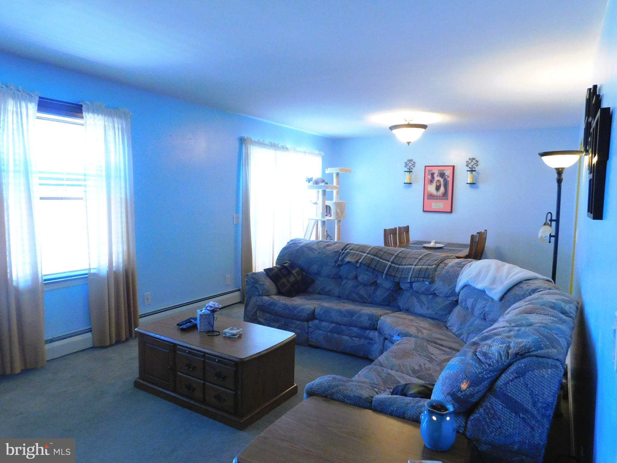 8475 Westernport Road Swanton, MD 21561 - Photo 13 of 45 living room