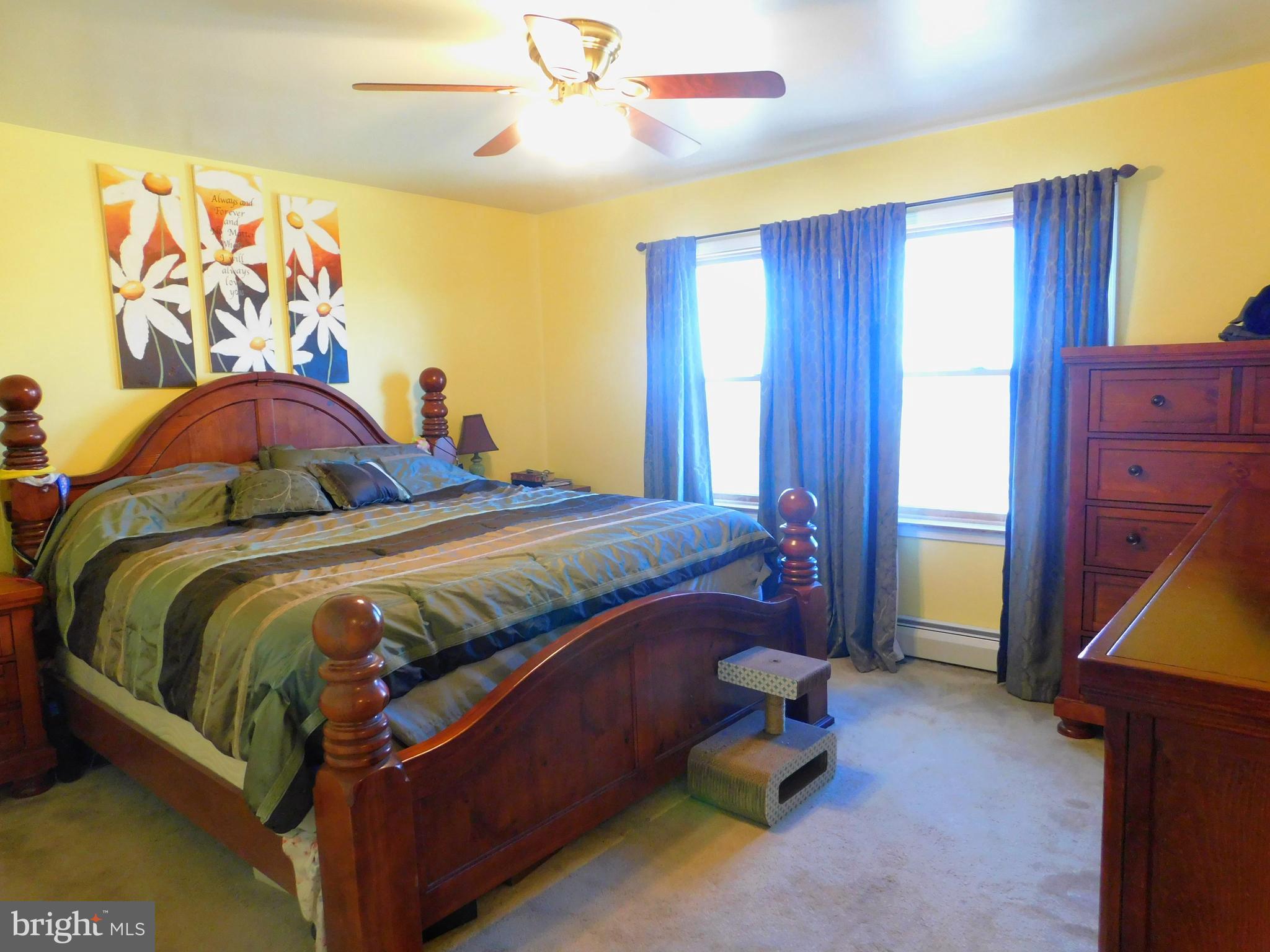 8475 Westernport Road Swanton, MD 21561 - Photo 17 of 45 master