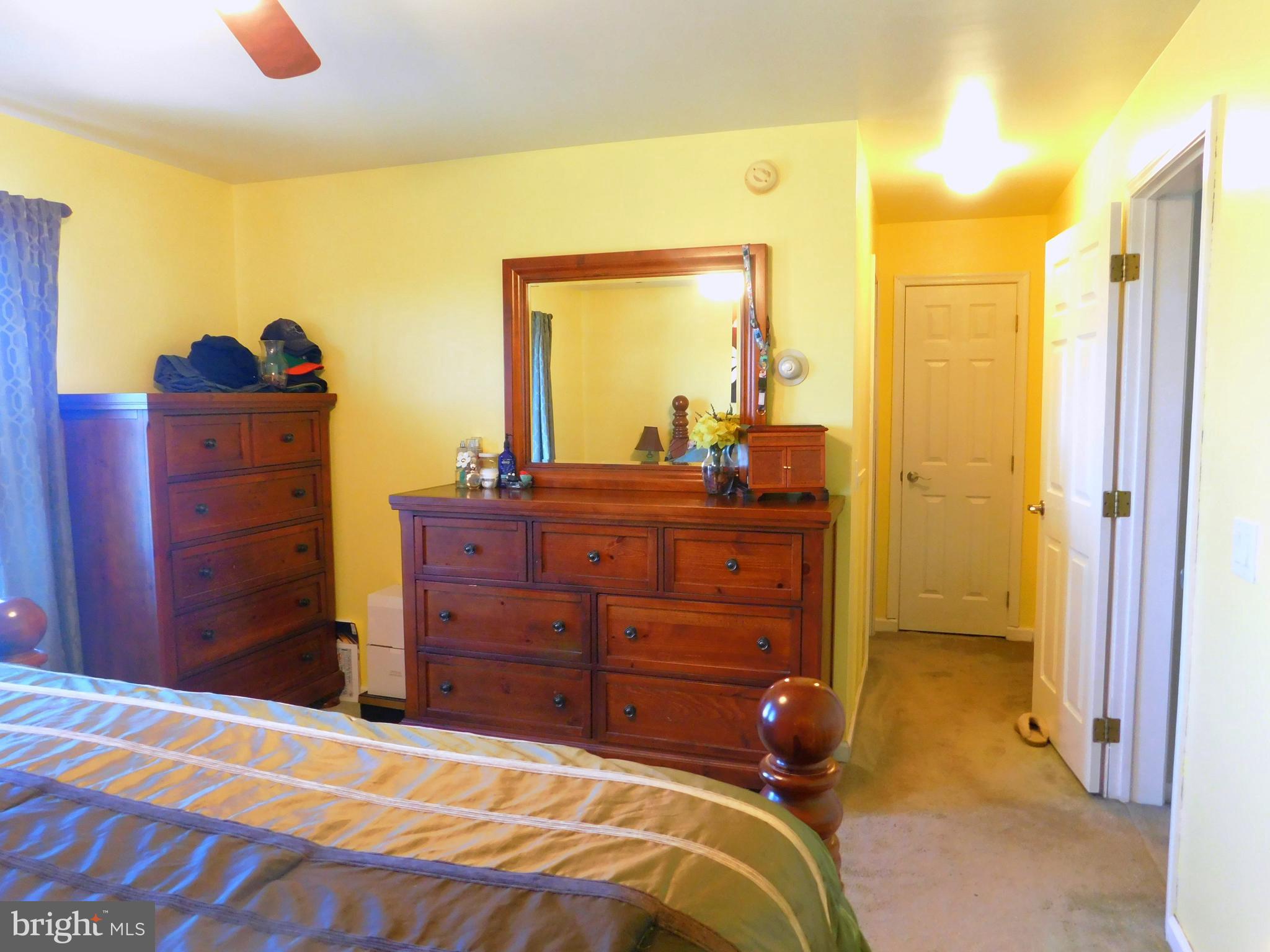 8475 Westernport Road Swanton, MD 21561 - Photo 19 of 45 master with walk in closet