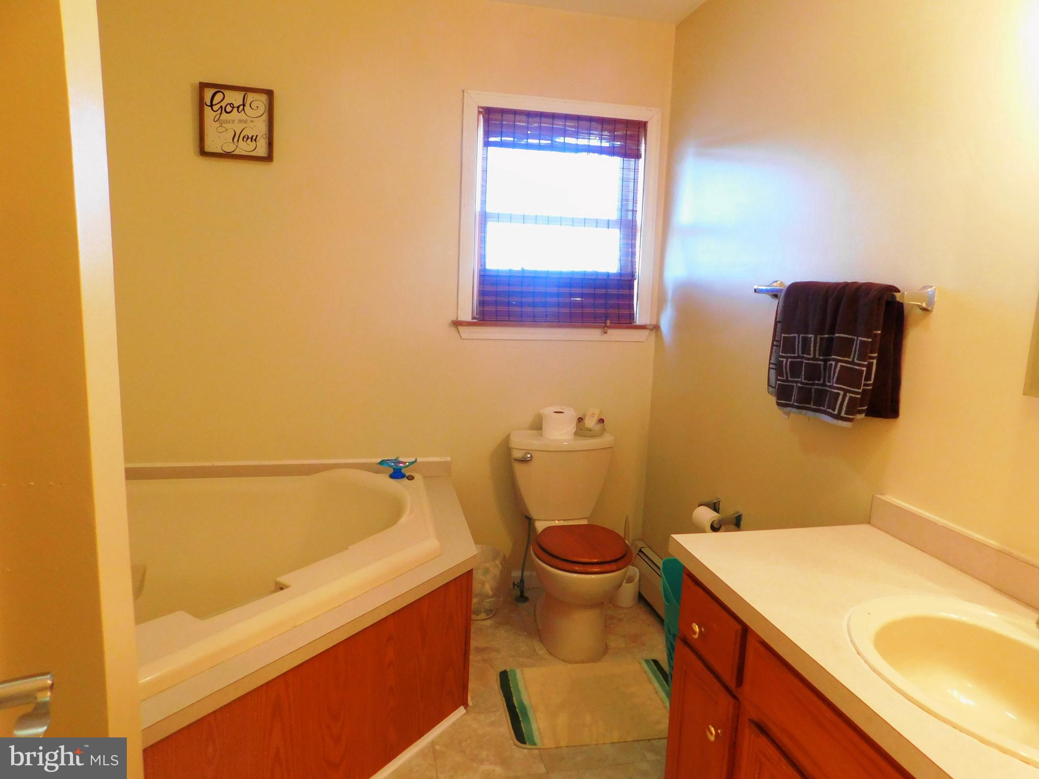 8475 Westernport Road Swanton, MD 21561 - Photo 20 of 45 master bath with separate shower and tub