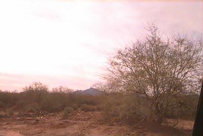17940 West Avra Valley Road Marana, AZ 85653 - Photo 3 of 3