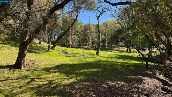 a view of a yard with a tree