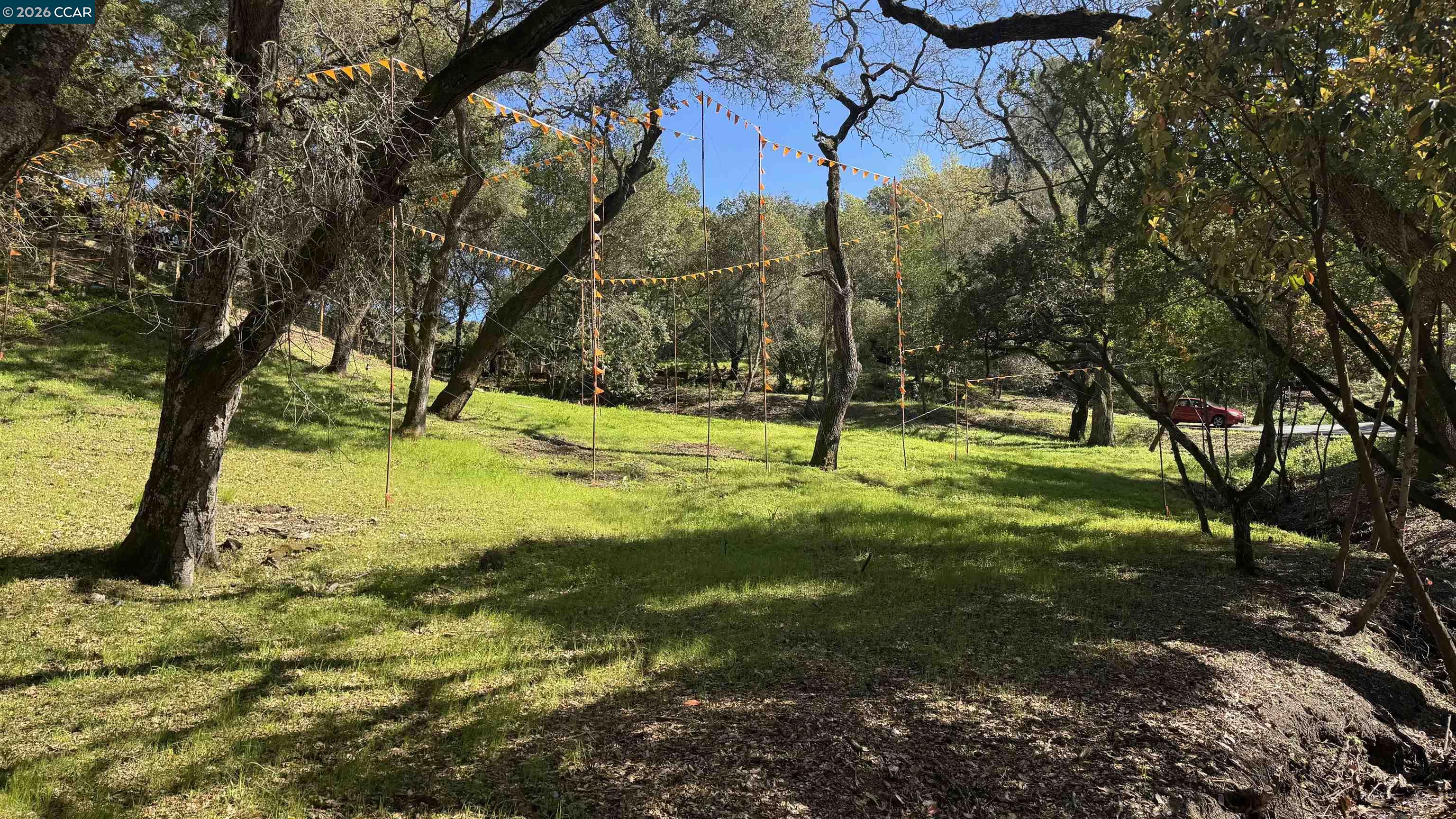 822 Acalanes Road Lafayette, CA 94549 - Photo 4 of 7 a view of a yard with a tree