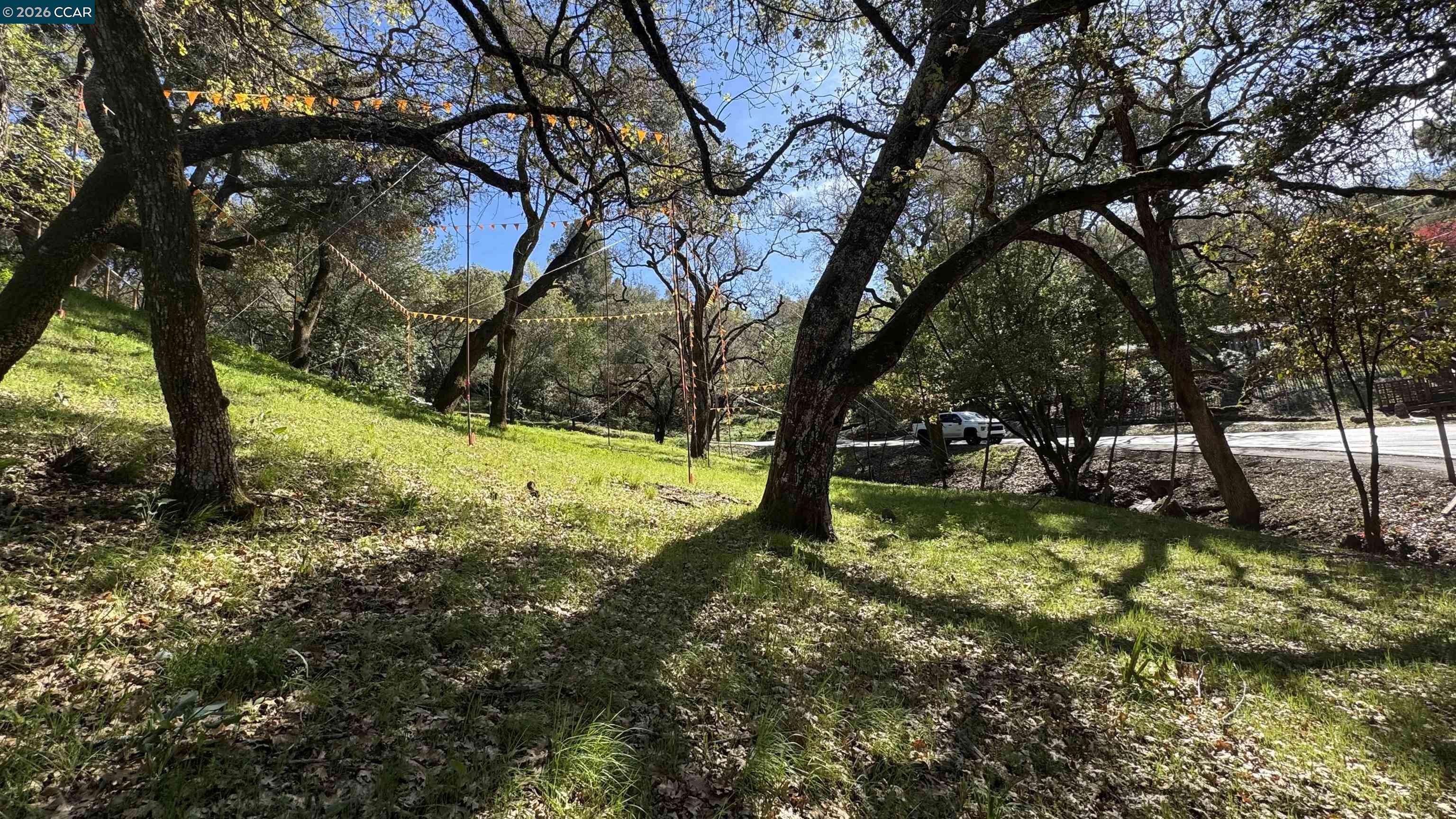 822 Acalanes Road Lafayette, CA 94549 - Photo 5 of 7 a view of swimming pool with a yard