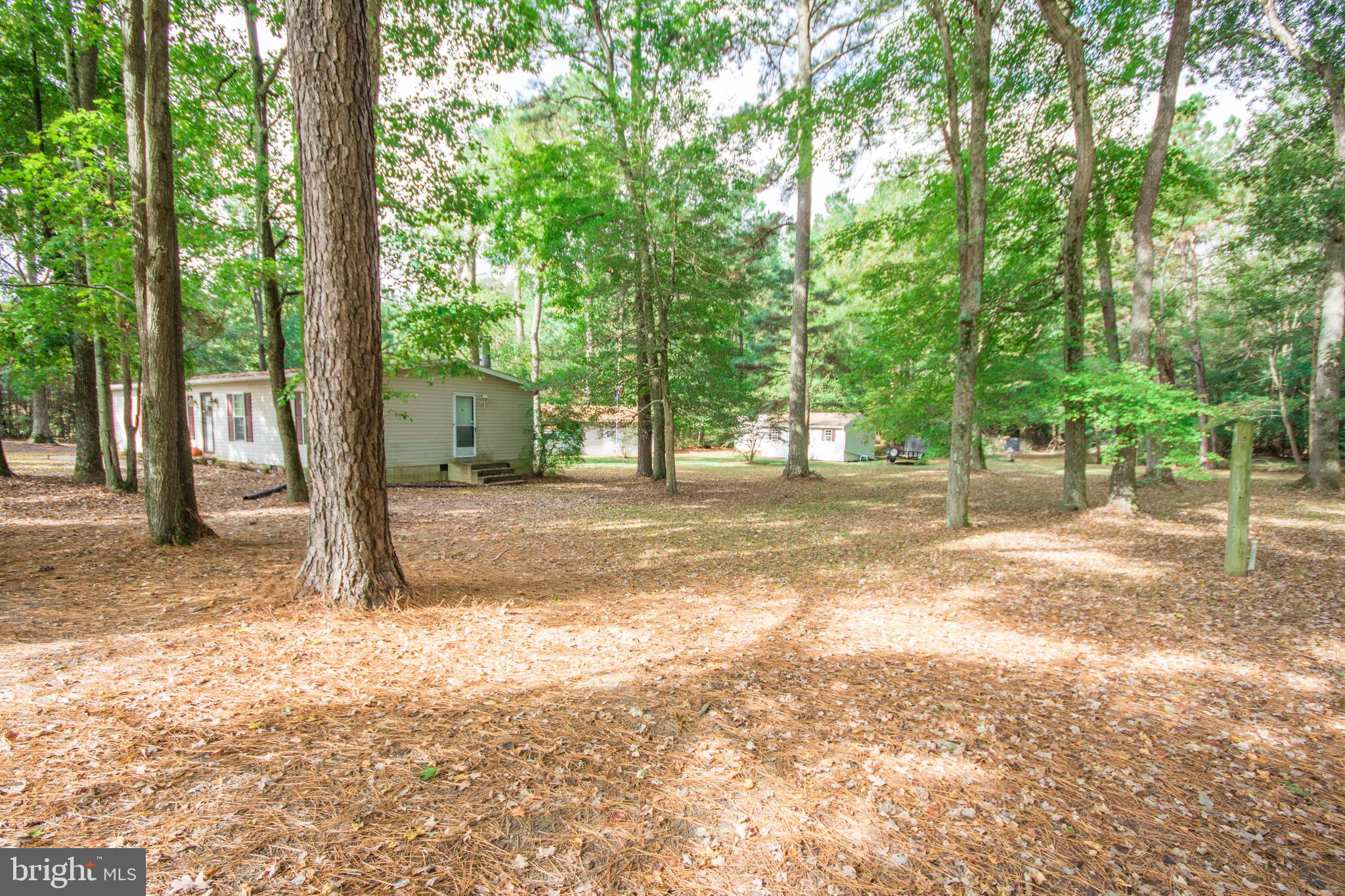 5508 Morris Road Pittsville, MD 21850 - Photo 5 of 41 Front yard