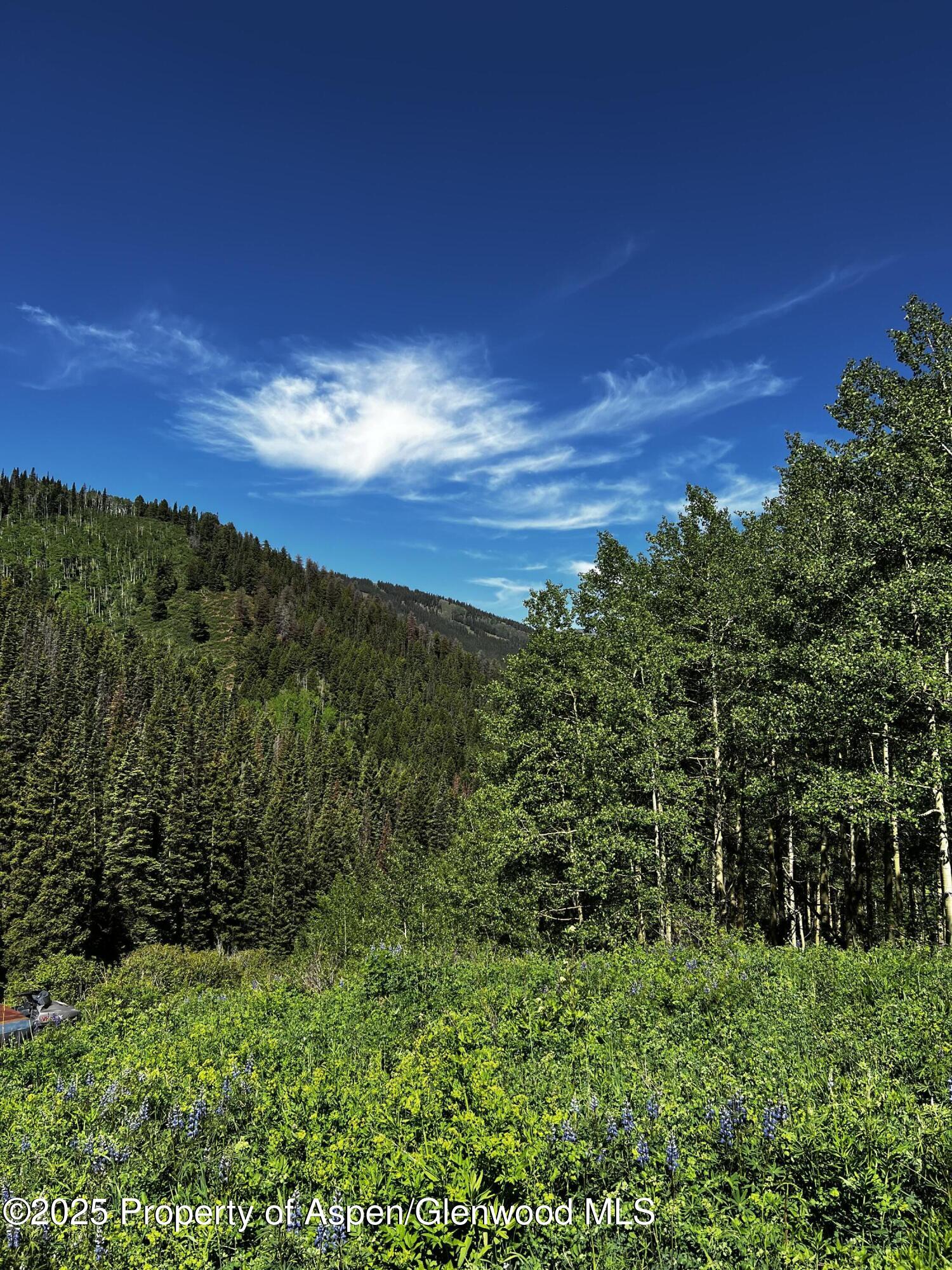 a view of a yard with an ocean