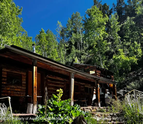 a view of a lush green forest with a mountain in the background