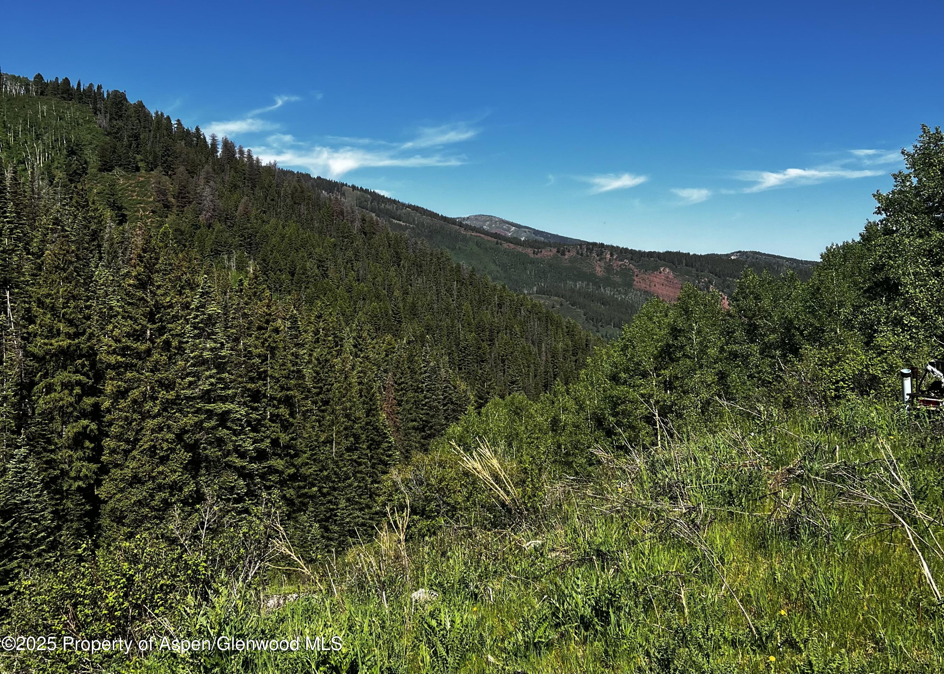 2601 Midnight Mine Road Aspen, CO 81611 - Photo 4 of 11 a view of a lush green forest with a mountain in the background