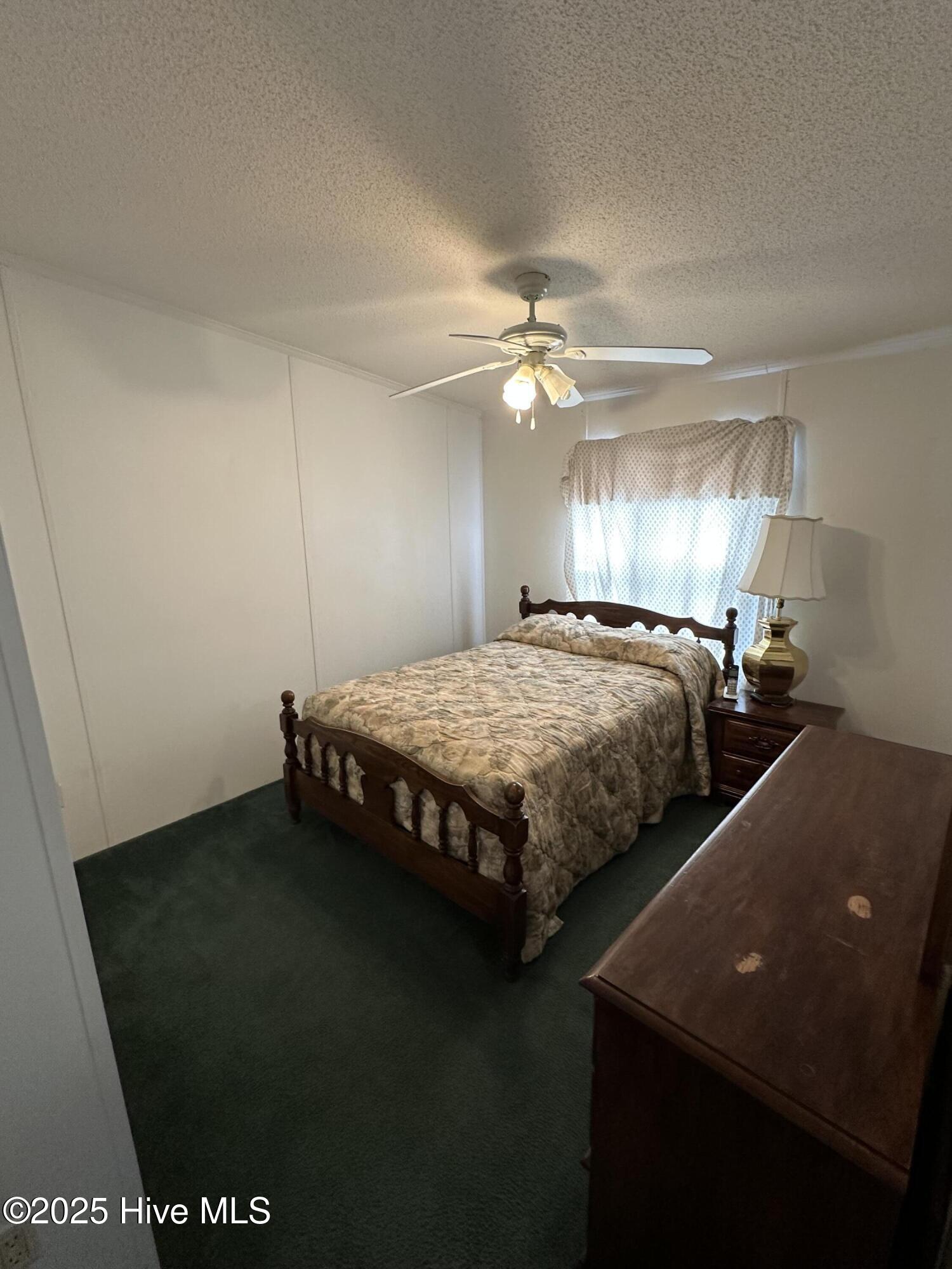 1232 Mears Road Clarkton, NC 28433 - Photo 14 of 27 IMG_8268