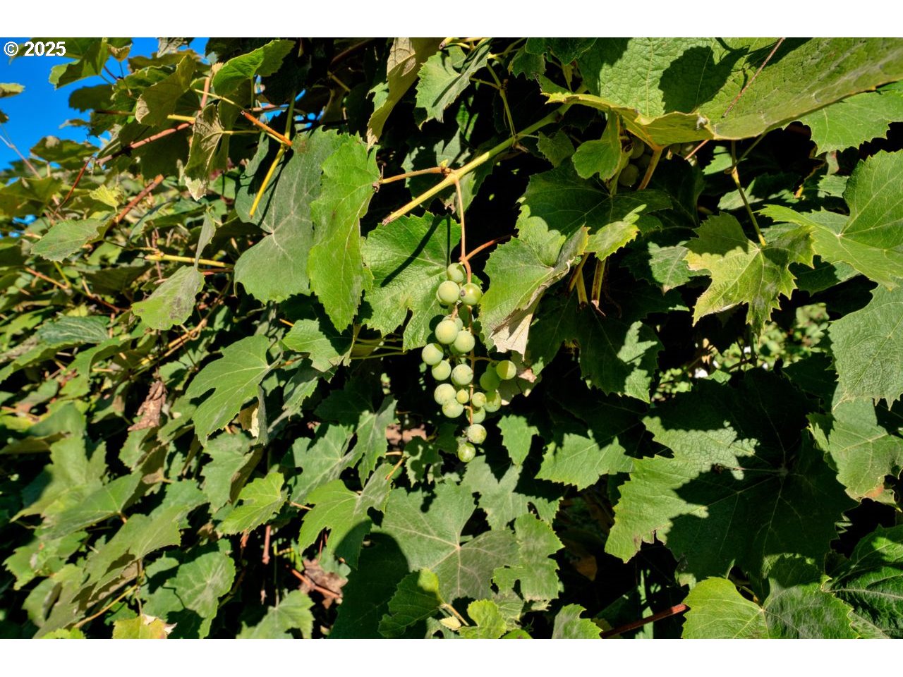 2995 Molalla Road Woodburn, OR 97071 - Photo 35 of 48