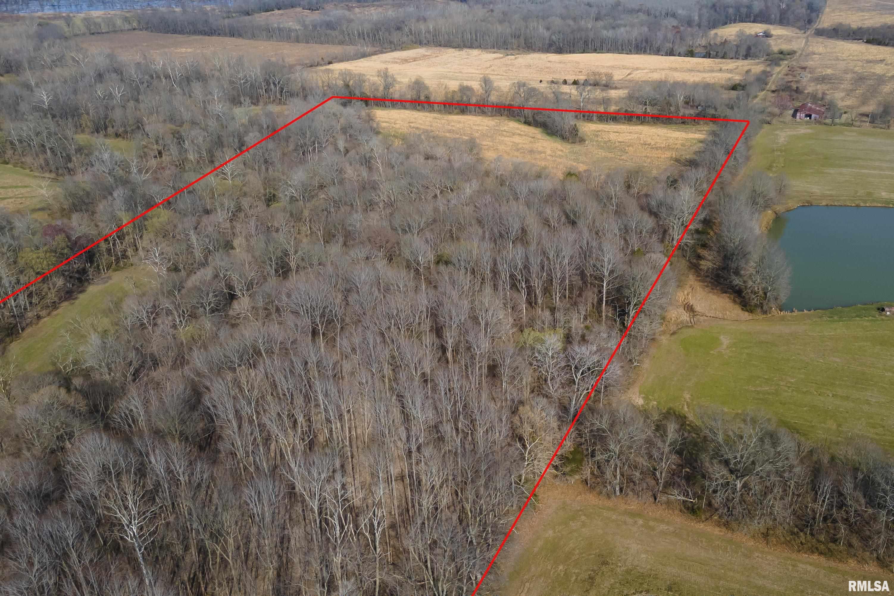 0 Mt Shelter Road Vienna, IL 62995 - Photo 2 of 8