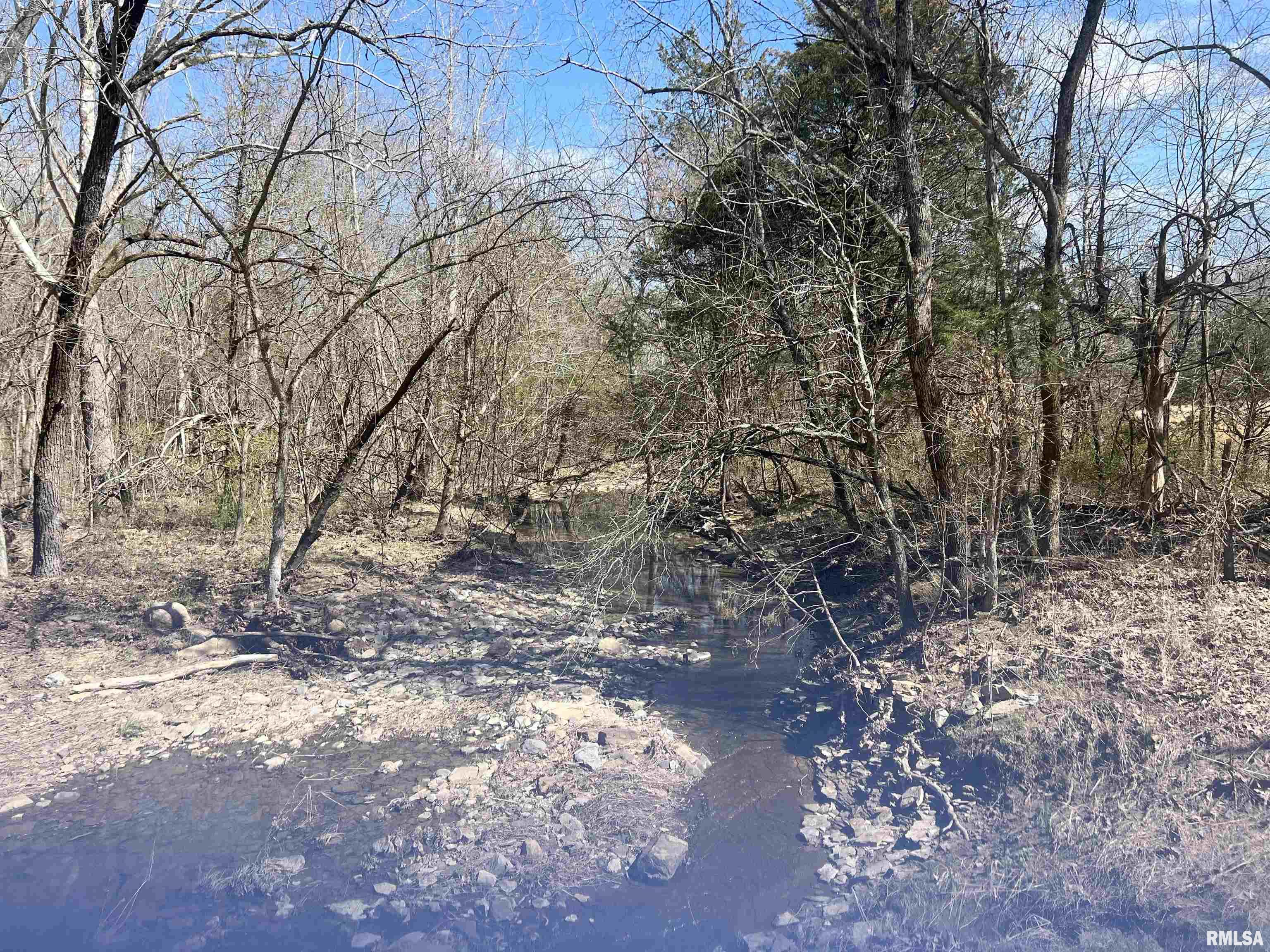 0 Mt Shelter Road Vienna, IL 62995 - Photo 6 of 8