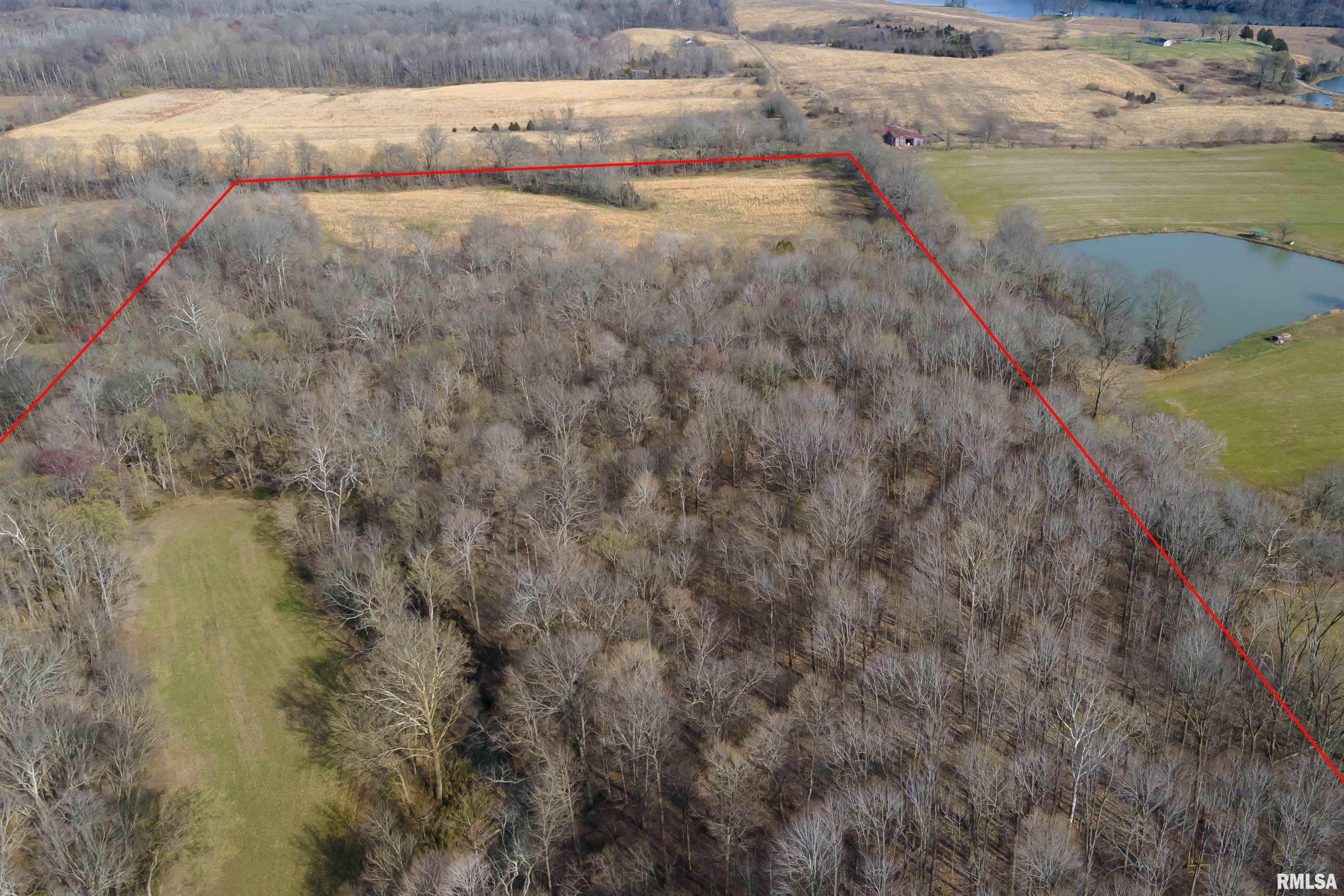 0 Mt Shelter Road Vienna, IL 62995 - Photo 8 of 8