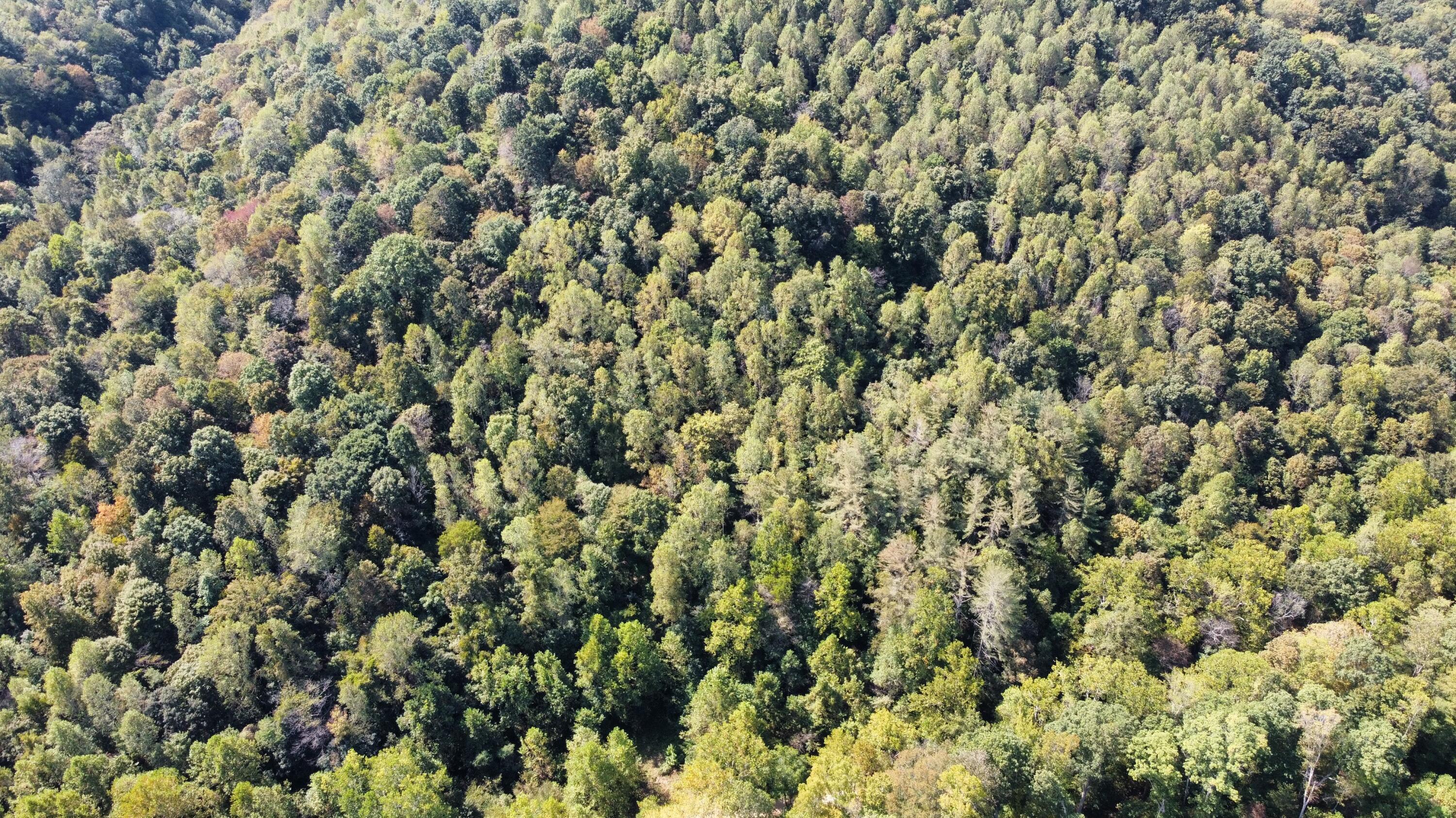0 Beech Fork Road Peebles, OH 45660 - Photo 27 of 31 dji_export_1757780314302