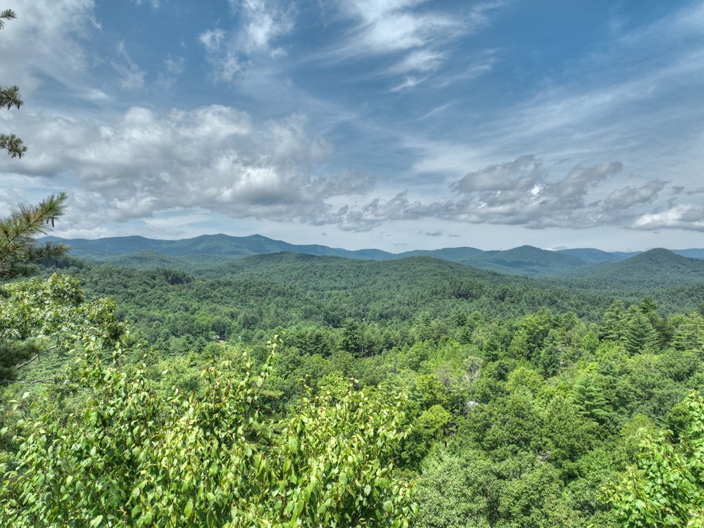 284 Quail Ridge Road Blue Ridge, GA 30513 - Photo 2 of 70 Gallery Image 2