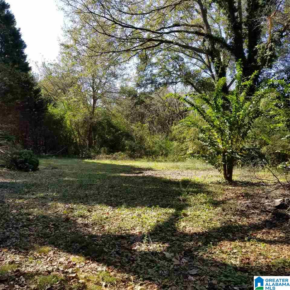 1451 Main Street Roanoke, AL 36274 - Photo 24 of 30