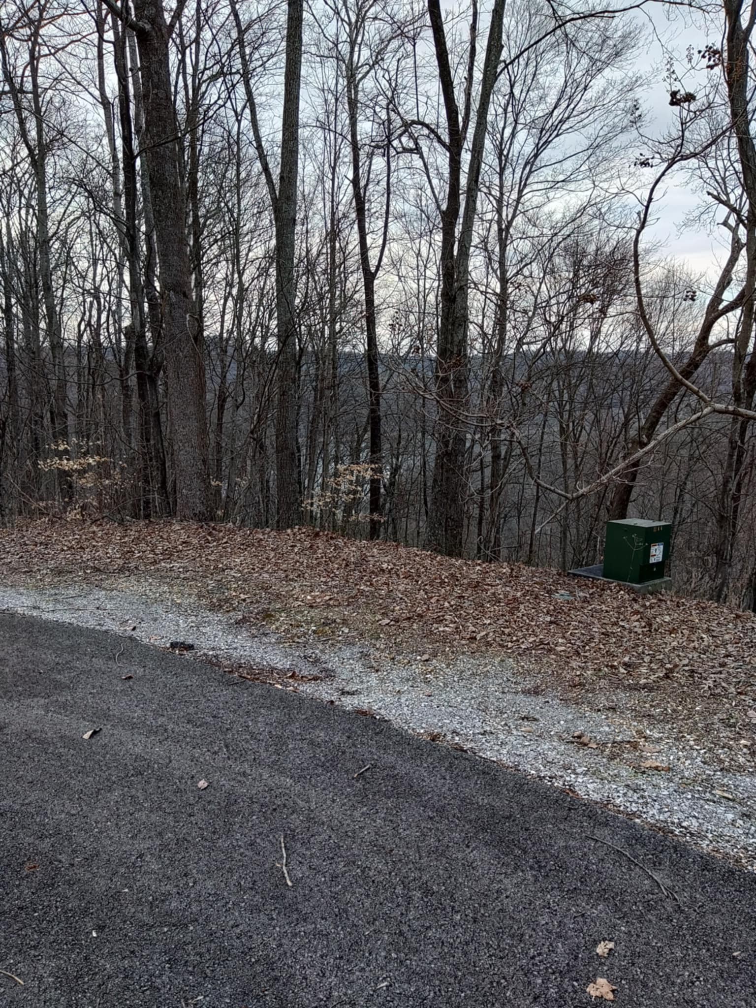 0 Swiper Drive Smithville, TN 37166 - Photo 8 of 10 a backyard of a house with lots of green space