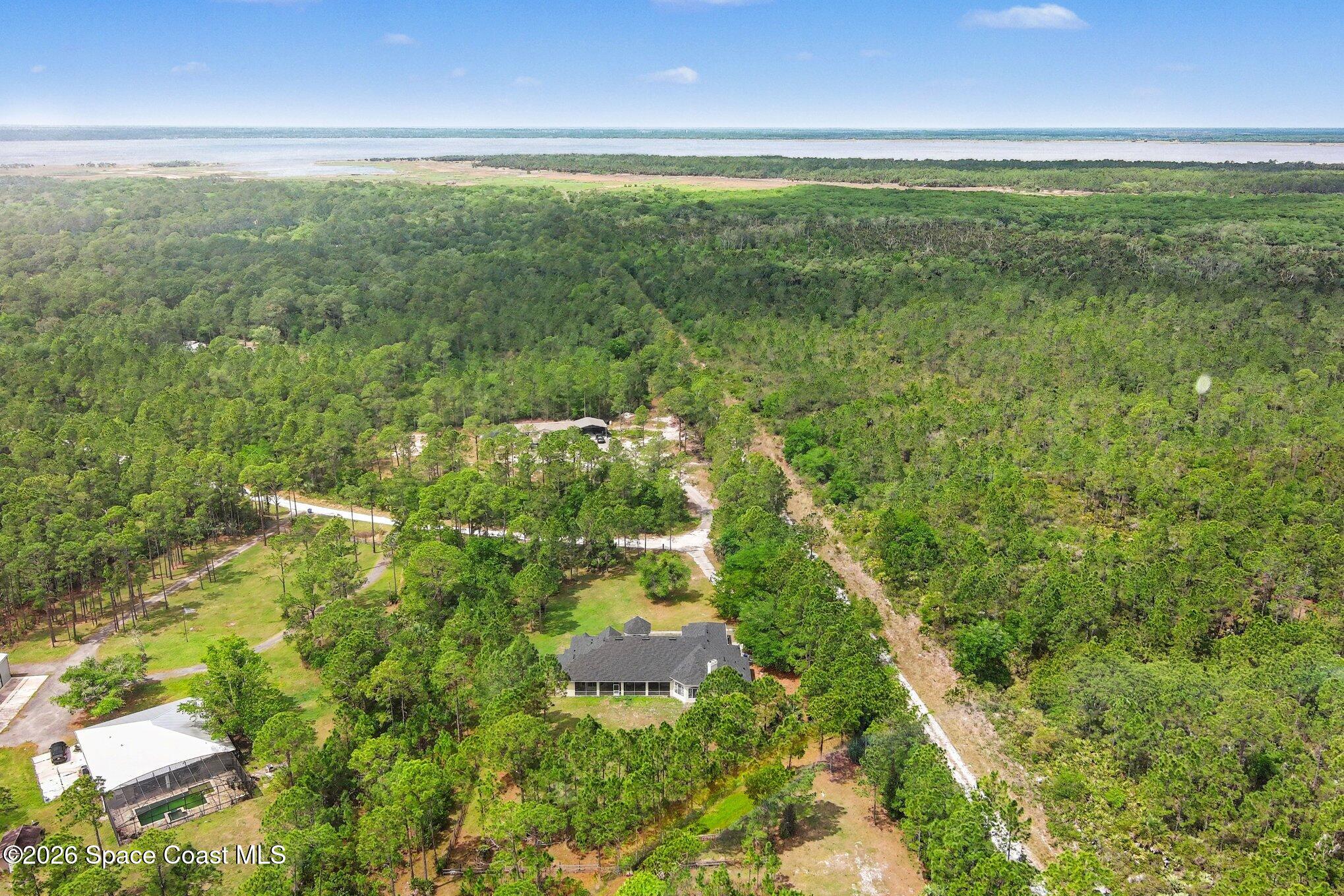 1399 Snapping Turtle Road Mims, FL 32754 - Photo 46 of 51 a view of a yard with large trees